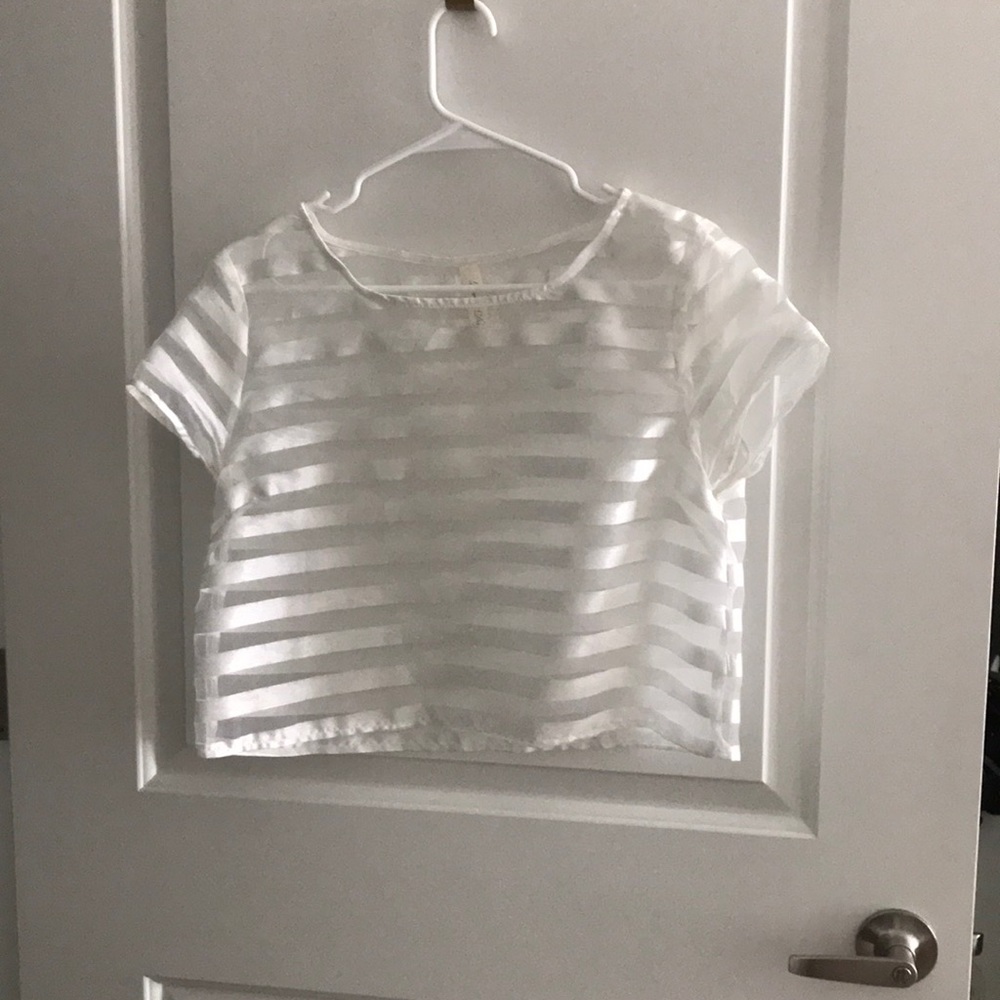 Mesh crop top